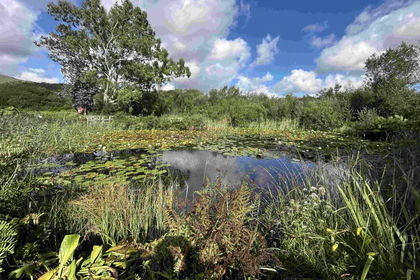 13 acres of Workshop for sale in St. Stephen-in-Brannel