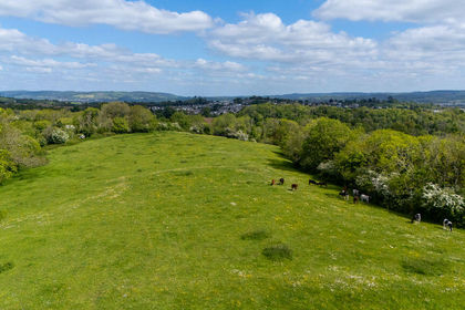 18.7 acres of Undeveloped Land for sale in Ogwell