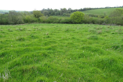 5.4 acres of Grazing Land for sale in Loddiswell