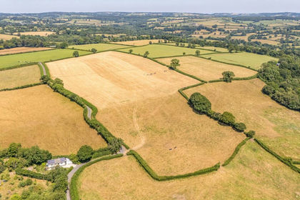 27.1 acres of Grazing Land for sale in Upottery