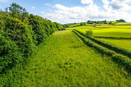 2.2 acres of Orchard for sale in Hincaster