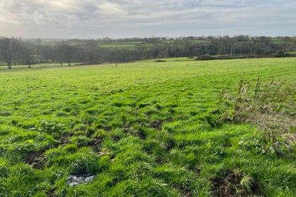 12 acres of Agricultural Land for sale in Llangoedmor