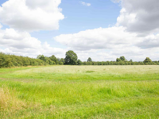 Small Plot of Land for sale in Cholsey