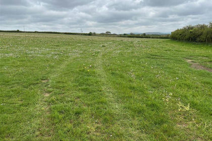 Farmland for sale in Mathry