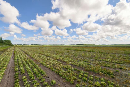 23.9 acres of Farmland for sale in Tarleton