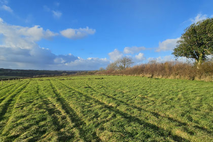 3.5 acres of Vacant Land for sale in