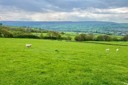 33.5 acres of Farm for sale in Beamsley