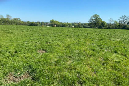 5.5 acres of Pasture for sale in Hinton Blewett