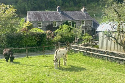 12.9 acres of Land for sale in Llanegwad