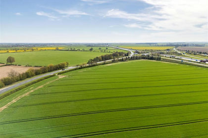 51.4 acres of Farmland for sale in Baldersby