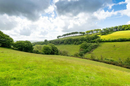 20 acres of Grazing Land for sale in Bratton Fleming