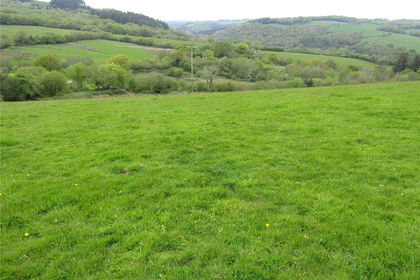 19.6 acres of Undeveloped Land for sale in Kingsbidge