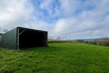2.6 acres of Pasture for sale in Totnes