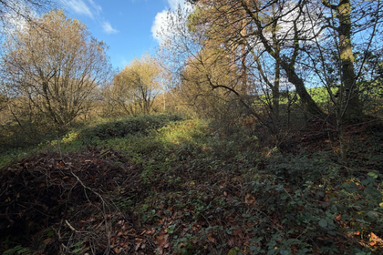 Undeveloped Land for sale in Stockland
