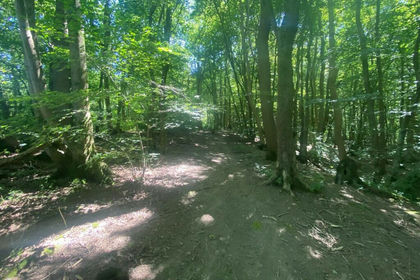 15.7 acres of Agricultural Land for sale in Sedlescombe