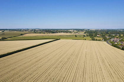 70.6 acres of Agricultural Land for sale in Saham Toney