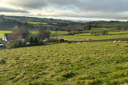 2.7 acres of Agricultural Land for sale in Allendale