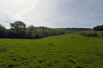135.4 acres of Farmland for sale in Kerry