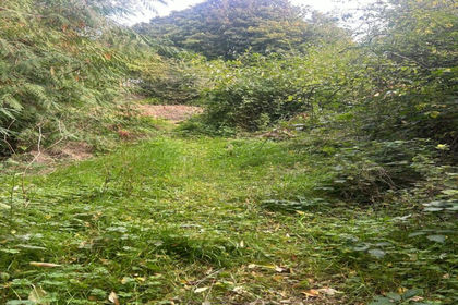 Cheap Land for auction in Livingston
