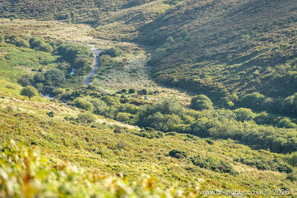 380.5 acres of Grazing Land for sale in South Brent