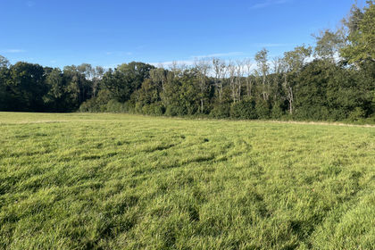 4 acres of Recreational Land for sale in