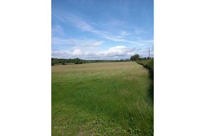 42.3 acres of Agricultural Land for sale in Broughton East