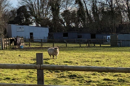 8 acres of Agricultural Land for sale in Stanley and Stanley Common