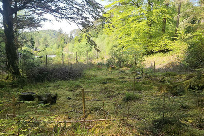 Development Land for sale in Inverness, Skye and West Ross-shire