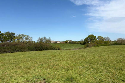 14 acres of Farmland for sale in Melbury Bubb