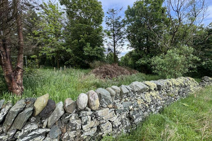 Woodland for sale in Argyll, Bute and South Lochaber