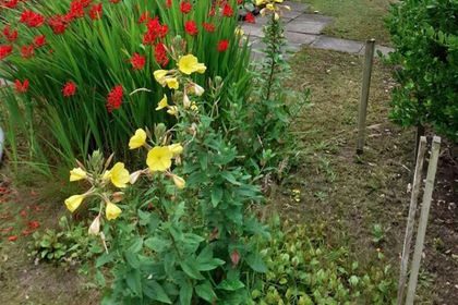 1.2 acres of Development Land for sale in Formby