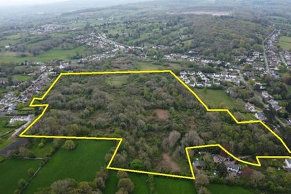 24.1 acres of Woodland for sale in Gwernaffield with Pantymwyn