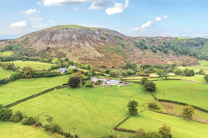 36.1 acres of Farmland for sale in Llanfair Caereinion