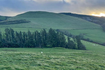 188 acres of Undeveloped Land for sale in Cadfarch
