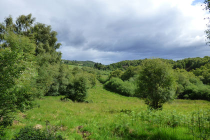 9 acres of Woodland for sale in
