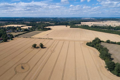 148.6 acres of Agricultural Land for sale in Bisham