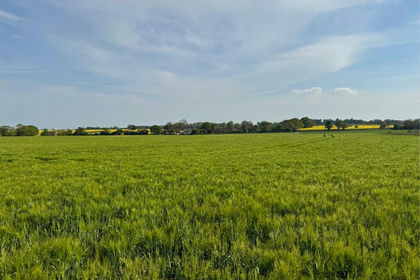 172.8 acres of Farmland for sale in Bergh Apton