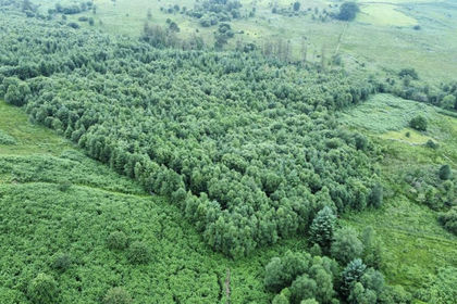 5 acres of Woodland for sale in Llanycrwys