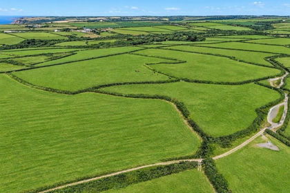 50 acres of Agricultural Land for sale in Morwenstow