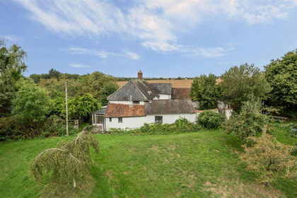 5 acres of House with Land for sale in Payhembury