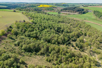 47.5 acres of Timberland for sale in Gordon and Buchan