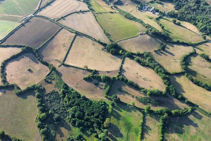 45.5 acres of Pasture for sale in Wayford