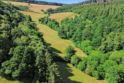20.4 acres of Woodland for sale in Luxborough