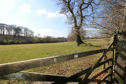 4 acres of Undeveloped Land for sale in Whitchurch