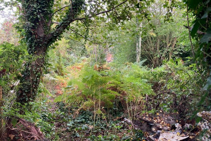 Land for sale in Tynemouth