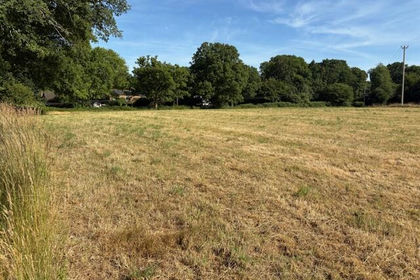 7.7 acres of Pasture for sale in Bramshott and Liphook