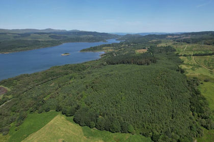 167.4 acres of Woodland for sale in Argyll, Bute and South Lochaber