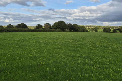 7 acres of Farmland for sale in Snelston