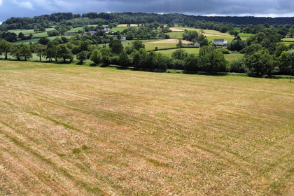 9.6 acres of Pasture for sale in Cullompton