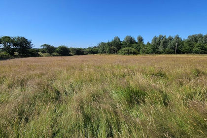 5.2 acres of Vacant Land for sale in Kenwyn
